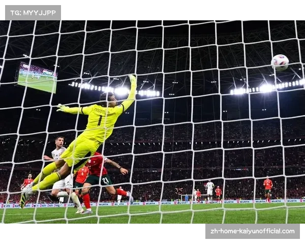 葡萄牙队年轻球员成长迅速 为球队注入新的活力